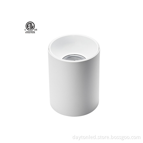 SZDAYTON Modern Outdoor IP65 Waterproof Ceiling Mounted Cylinder LED Downlight